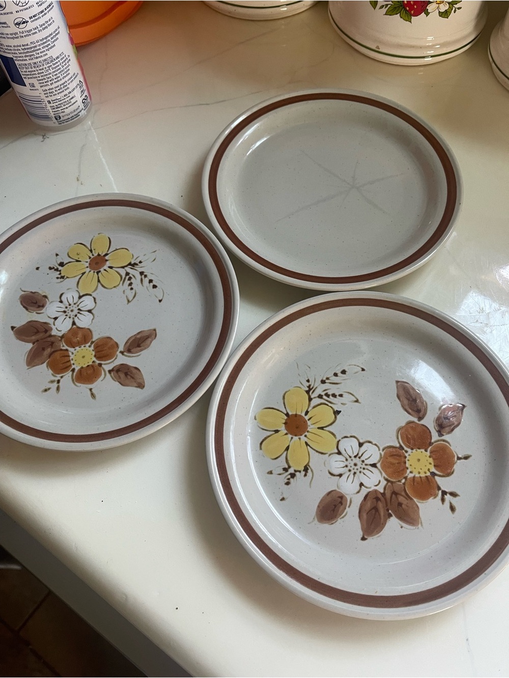 3 autumn stoneware plates